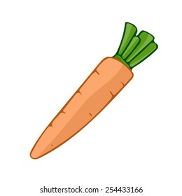Carrot isolated illustration on white background