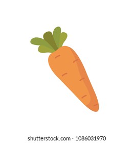 Carrot isolated on white background