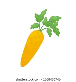 Zanahoria aislada sobre fondo blanco. Comida ecológica. Diseño del sitio web, aplicación móvil. Vector ilustrado vegetal en forma de caricatura