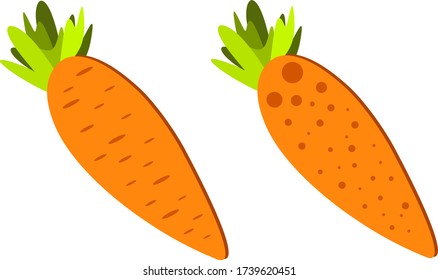 Zanahoria aislada sobre fondo blanco. Ilustración vectorial de zanahoria fresca
