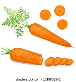 Carrot isolated on white background. Vector icon. Slices carrots.