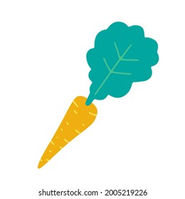 Carrot isolated on white background. Flat cartoon vector illustration, hand drawn style.
