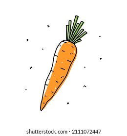 Carrot isolated on white background. Organic healthy food. Vector hand-drawn illustration in doodle style. Perfect for cards, logo, decorations, recipes, various designs.