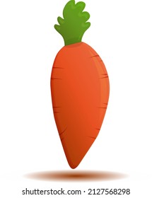 Carrot isolated on white background Orange fresh vegetable cartoon illustration Vegetarian food diet menu