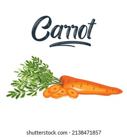 Carrot isolated on white background. Vector illustration of fresh vegetable and slice in cartoon flat simple style.