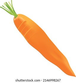 Karotte einzeln auf weißem Hintergrund. Vektorgrafik, Farbiges Symbol