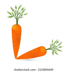 Carrot isolated on white background, vector illustration