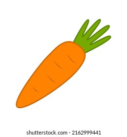 Carrot isolated on white background. Vector illustration