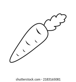 Carrot isolated on white background. Vector illustration