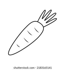 Carrot isolated on white background. Vector illustration