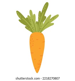 Zanahoria aislada sobre fondo blanco. Ilustración vectorial. zanahoria anaranjada al estilo dibujado a mano.