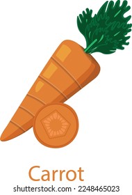 Carrot Isolated on White Background