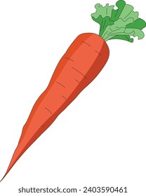 Carrot isolated on white background