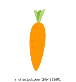 Carrot isolated on white background. Mini vegetable. Vector hand drawn flat illustration