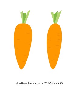 Carrot isolated on white background. Mini vegetable. Vector hand drawn flat illustration