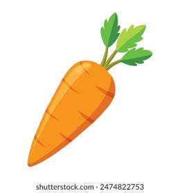 carrot isolated on white background