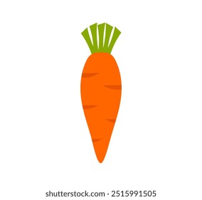 Carrot isolated on white background. Vector illustration.