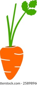  carrot isolated on white background