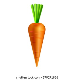 Carrot isolated on white background