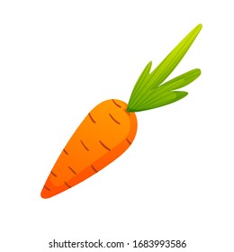 Carrot isolated on white vector vegetable.