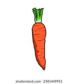 carrot isolated on white, carrot vector art with color