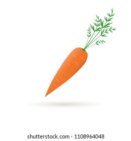 Carrot isolated on white.Vector design
