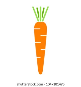 Carrot. Isolated Vector Illustration.