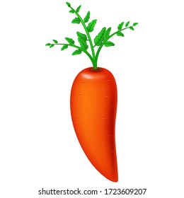 Carrot Isolated for your design