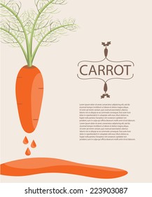 Carrot juice background. EPS 10 vector file.