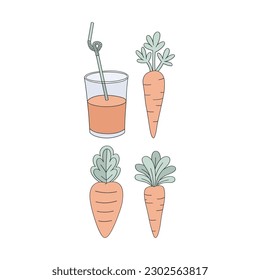 Carrot and juice clip art collection isolated on white. Decorative linear Vector illustration.