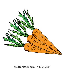 Carrot label on simple white background
