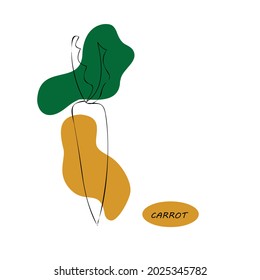 Carrot, leaf illustration logo vector, abstract. Print , abstract, minimalism , doodles vegetable.
