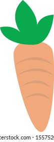 carrot with leafs graphic vector