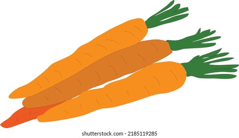 zanahoria con hojas ilustraciones vectoriales