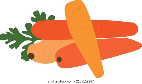 zanahoria con hojas ilustraciones vectoriales