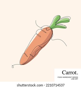 Carrot with leaves, Food Ingredient Cartoon Line Art Vector Template