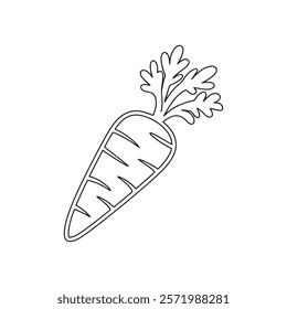 Carrot line art outline drawing, Carrot vector art and illustrations art and Carrot coloring book pages