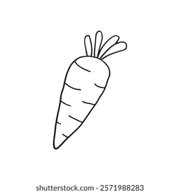 Carrot line art outline drawing, Carrot vector art and illustrations art and Carrot coloring book pages