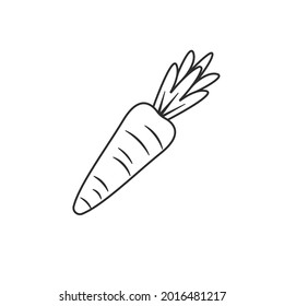 carrot line  icon vector illustration design template web 