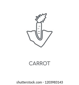 Carrot linear icon. Carrot concept stroke symbol design. Thin graphic elements vector illustration, outline pattern on a white background, eps 10.