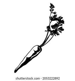 Carrot logo design. Carrot Silhouette Vector Illustration