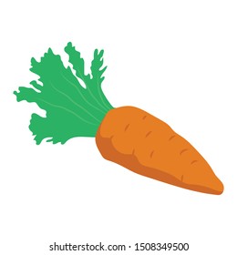 
Carrot, nutritious vegetable vector isometric design.
