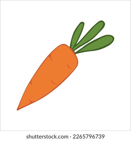 Carrot on an isolated white background.