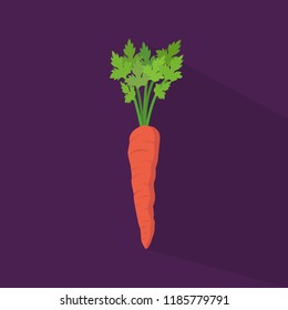 carrot on purple background vector design 