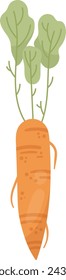 Carrot On Stem Vector Illustration