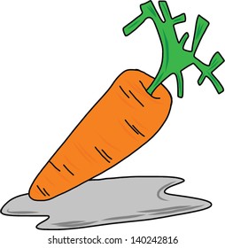 Carrot on white background