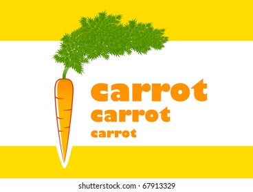 Carrot on a white background
