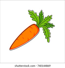 carrot on white background