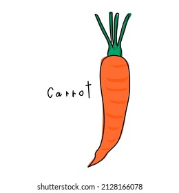 Carrot on a white background. Hand drawn vegetable vector. Book illustration. Vegetable vector for decoration. Cartoon vegetables. Wrapping paper pattern. Gardening.