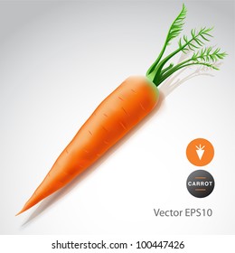 Carrot on White Background Vector Eps 10 image